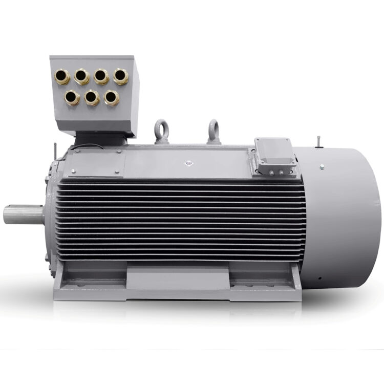 Laagspannings-elektromotor 500 kW 400V/690V 1000 tpm (IE3-H17RL-6-polig) Verkoop