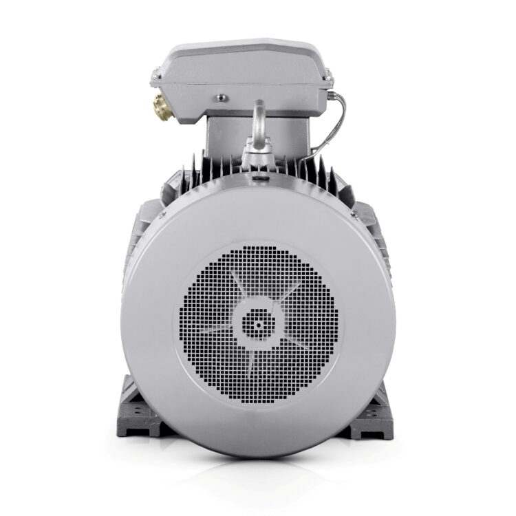 Elektromotor 315kW 400V/690V 1500 tpm 4-polig (IE3-3LC) VYBO Electric België